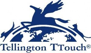 Tellington TTouch Training®